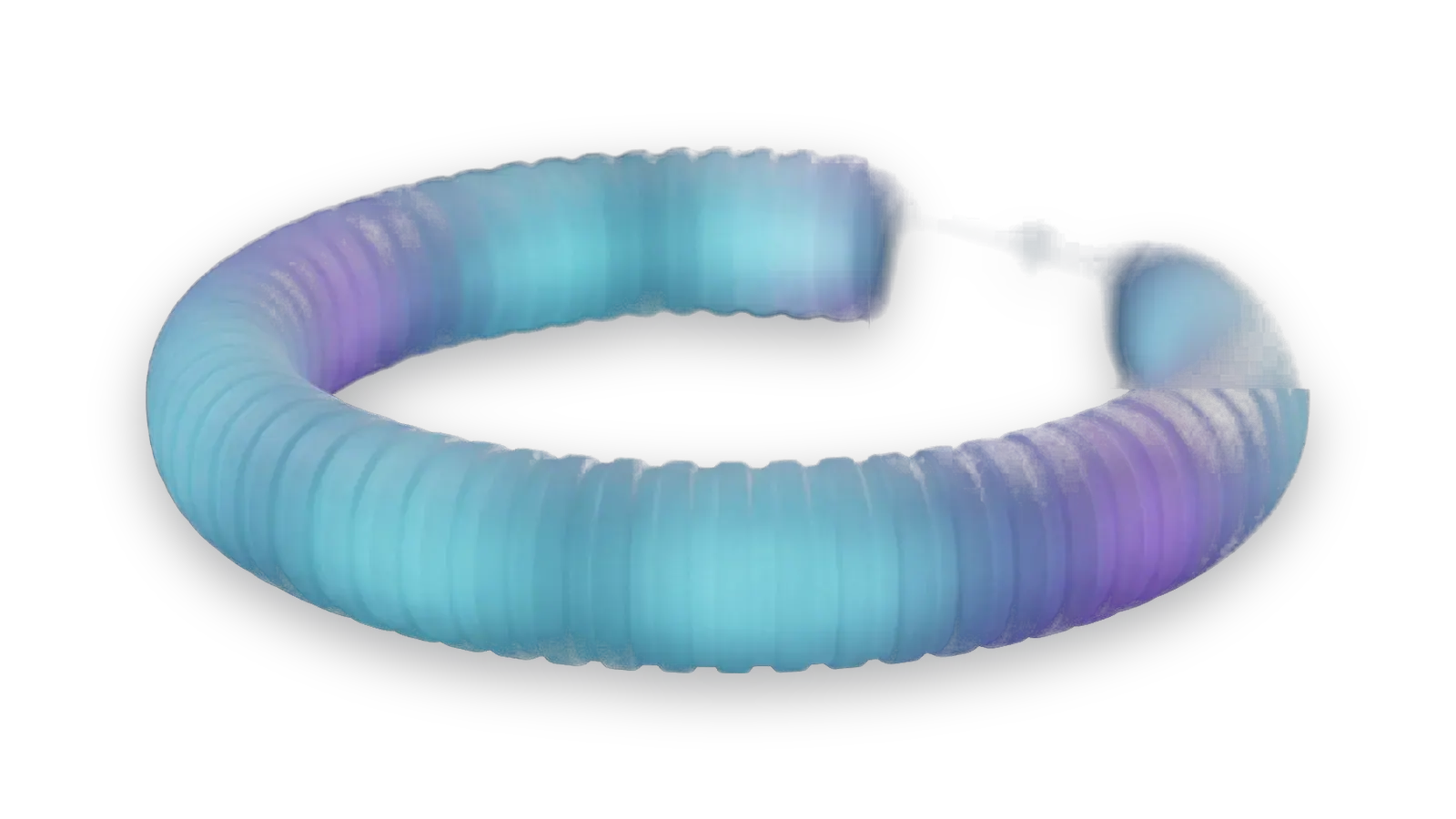 Rhythm Wrap Explorer